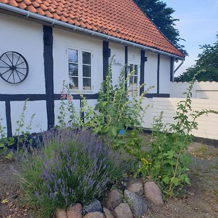 شقة Violen Åkirkeby المظهر الخارجي الصورة